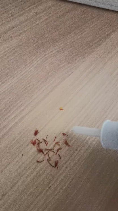 Removedor de Cera Elétrico
